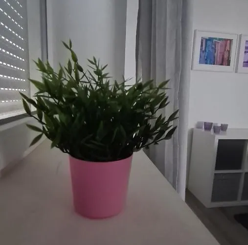 Lavendel, Mit Eigenem Eingang Ein Kleines Haus